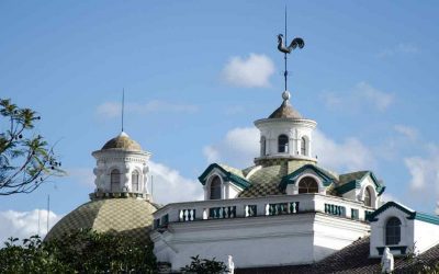 The Most Famous Rooster In Quito