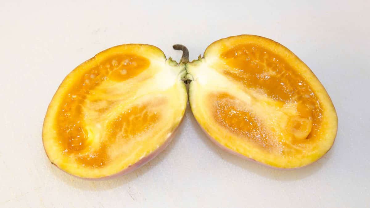 The Inside of a Tree Tomato