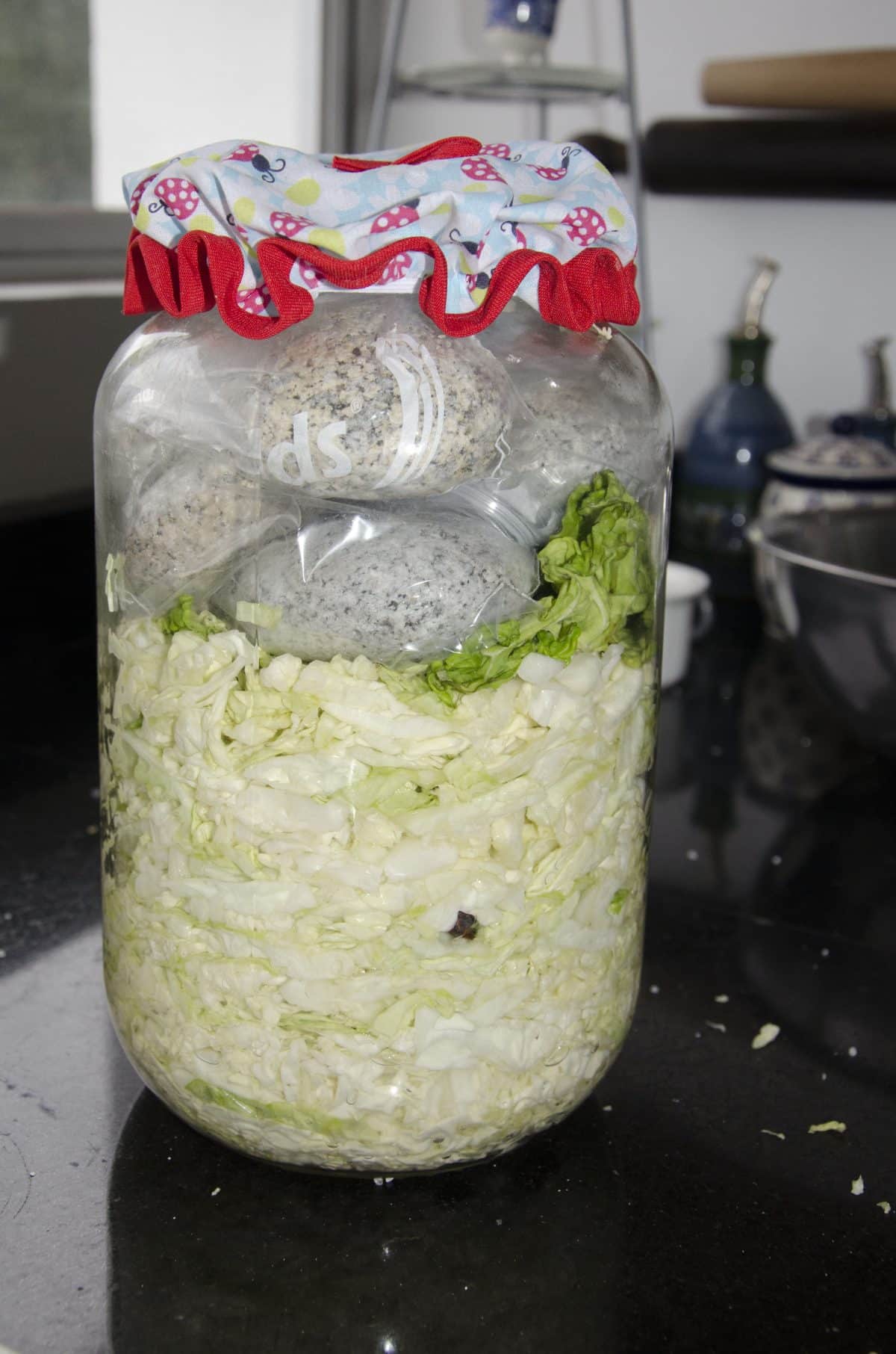 The rocks (in a plastic bag) added as a weight. Notice how much the cabbage has compressed.