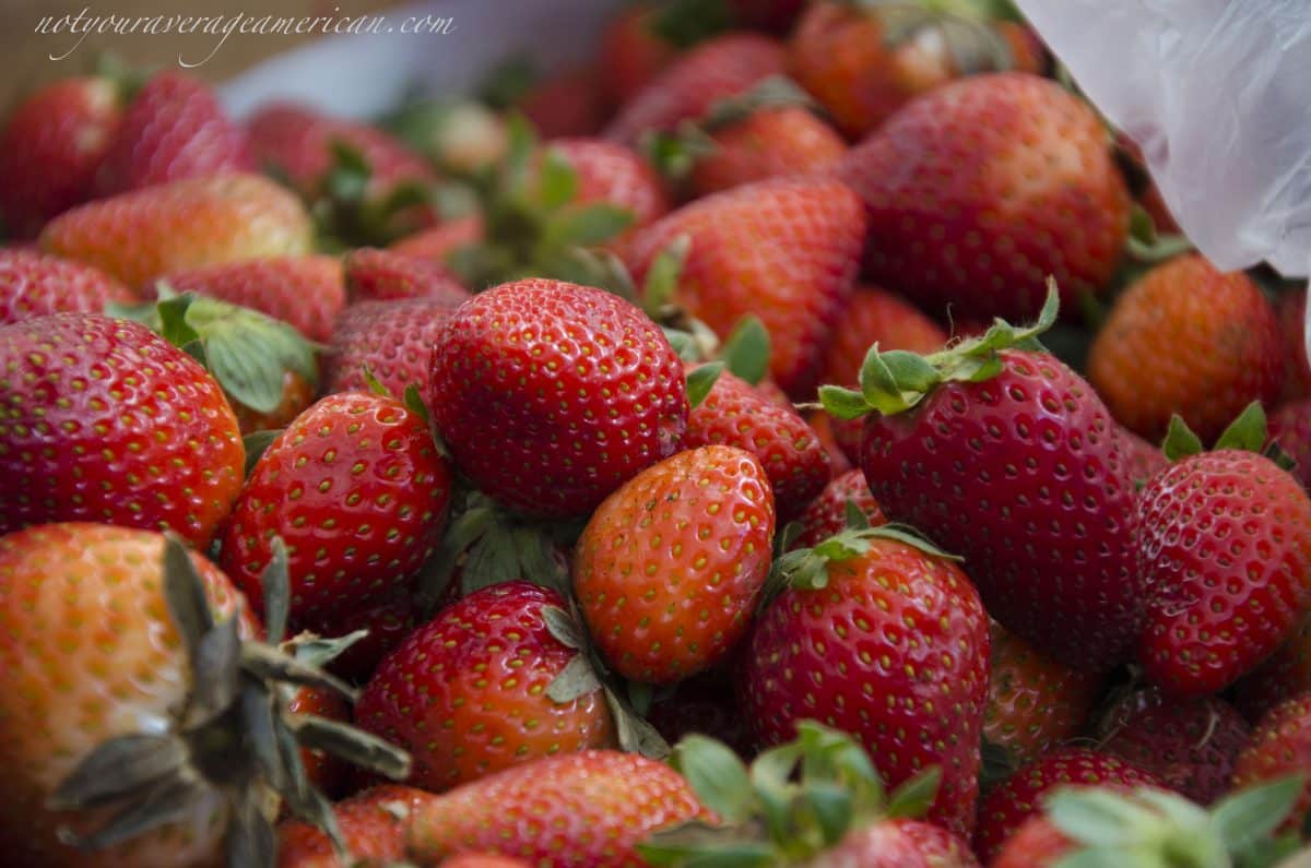 Freshly picked strawberries, Mercado La Esquina, Cumbaya, Ecuador