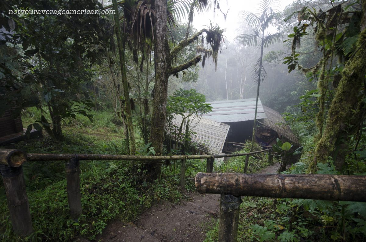 Looking from the Parking Lot down onto the Research Station | ©Angela Drake