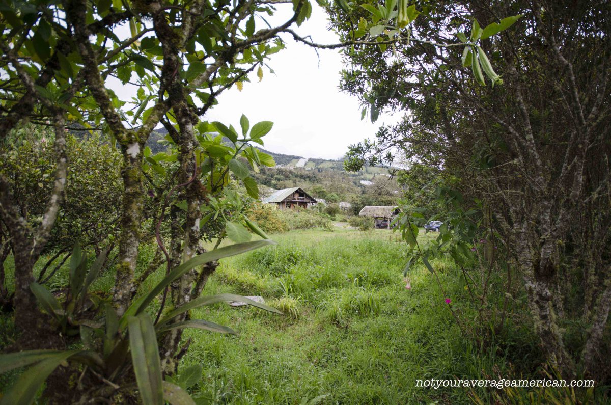 Looking from the cabin to the main farm house. On a clear day, you could see Tungurahua in the background; Panticucho, Baños, Ecuador | ©Angela Drake