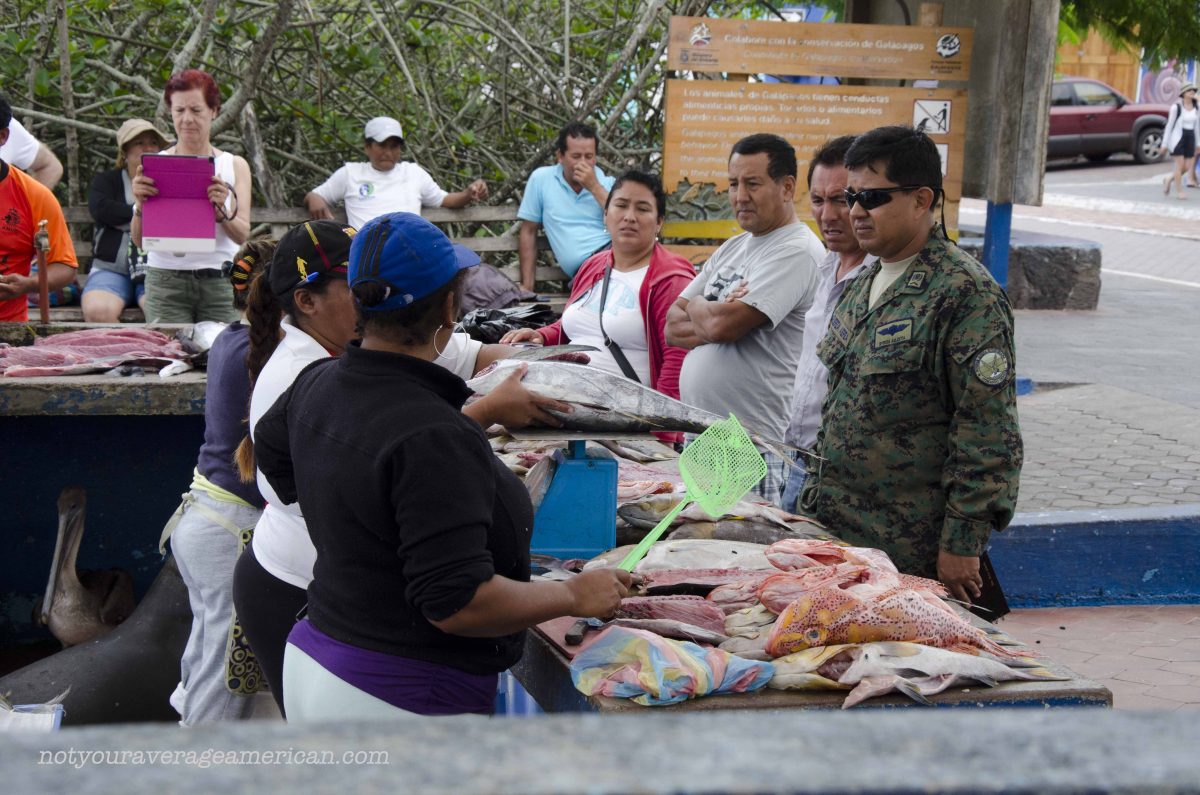 Locals wait to be served at this Galapagos Fish Market in Puerto Ayora, Santa Cruz, Ecuador | ©Angela Drake