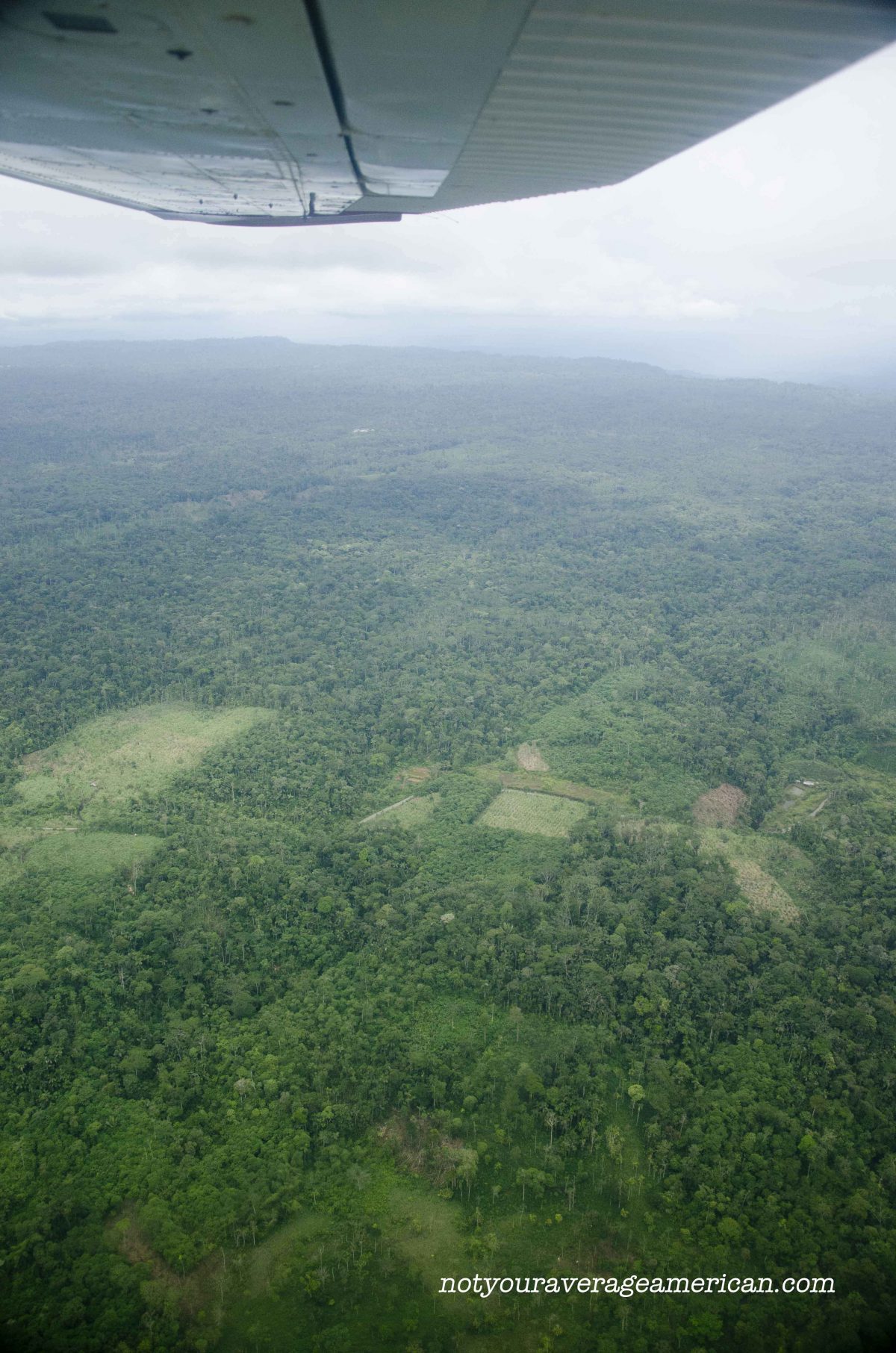 Leaving Shell for the jungle by plane allows us to see the changes taking place, Huaroani Lodge