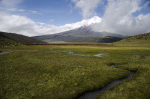 Wetlands in Cotopaxi National Park