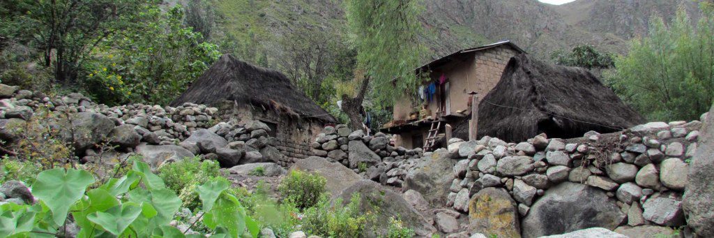 Thatched roof homes