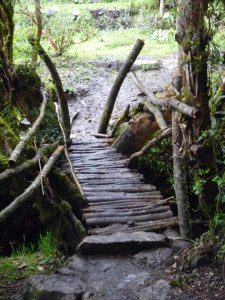 Bridge near Camp Yuncachimpa