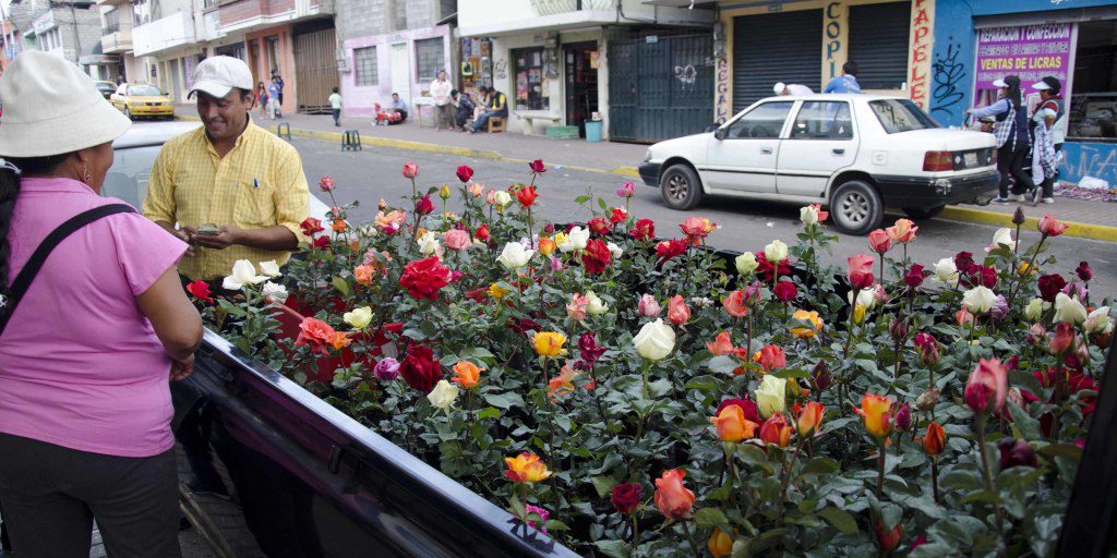 Rose Vendor