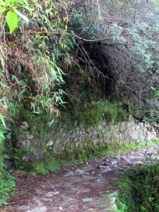 Incan retaining wall along the trail