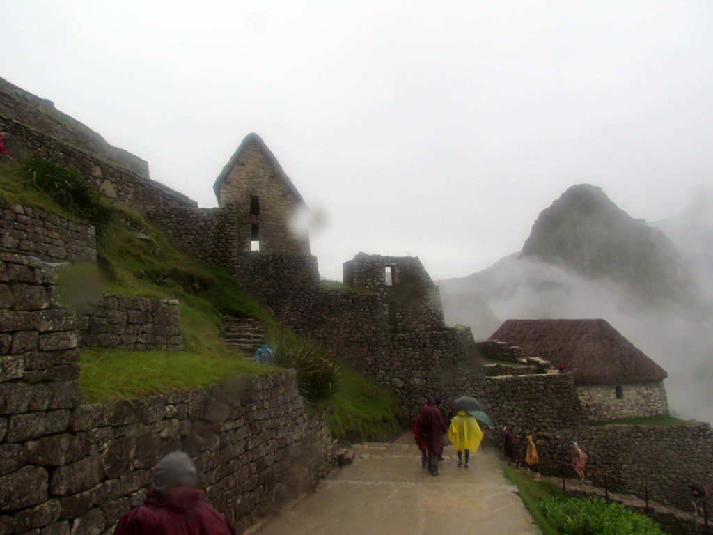 Following Fredy into the mist and rain