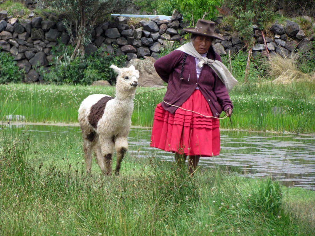 Working the farm or working the tourists? Or both?