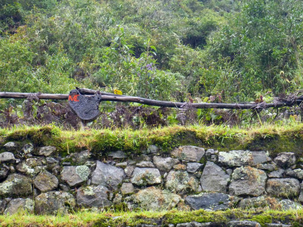 The tree nursery