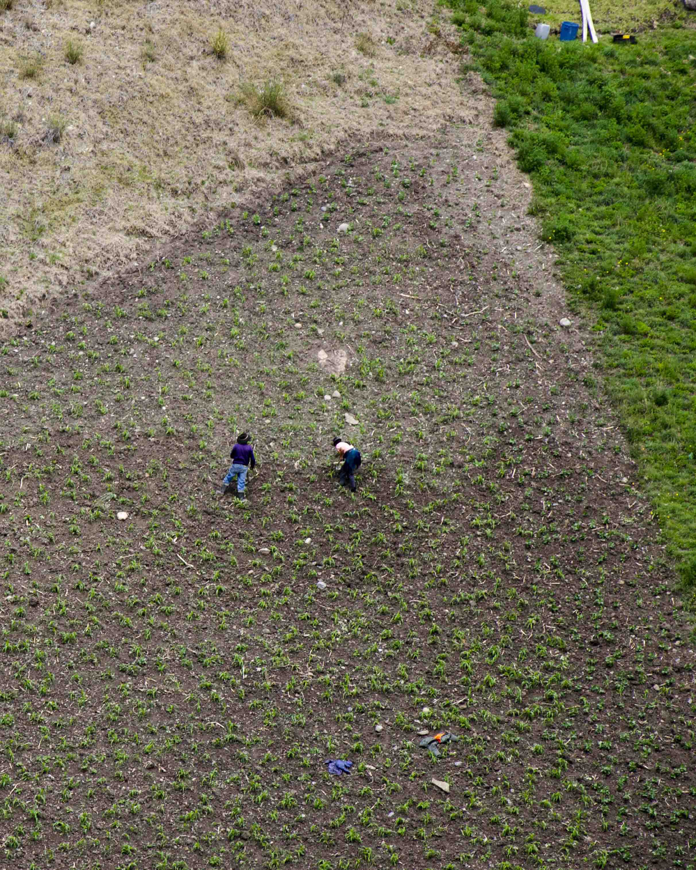 Local Farmers, Ingapirca Trails, Cañar, Ecuador 
