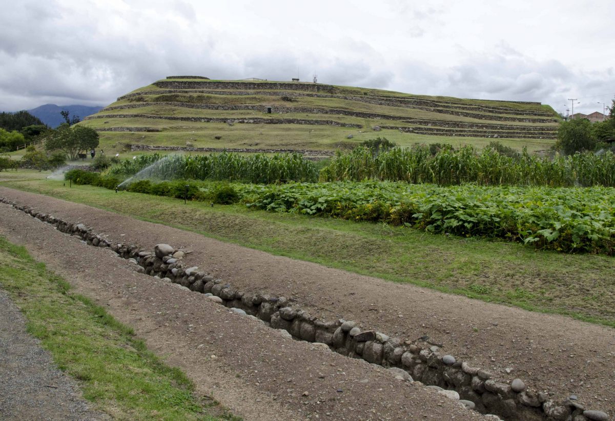 Looking up at the terraced walls of Pumapungo from the gardens and aqueducts below.