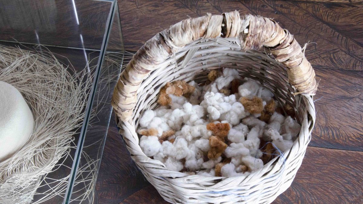 Locally Grown Cotton; Museo Amantes de Sumpa, Santa Elena, Ecuador