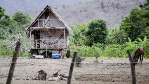 Traditional House