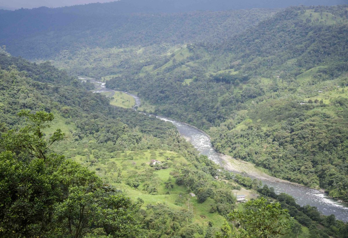 View of Rio Blanco, San Miguel de los Bancos, Ecuador