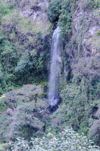 One of the Waterfalls at Rumibosque