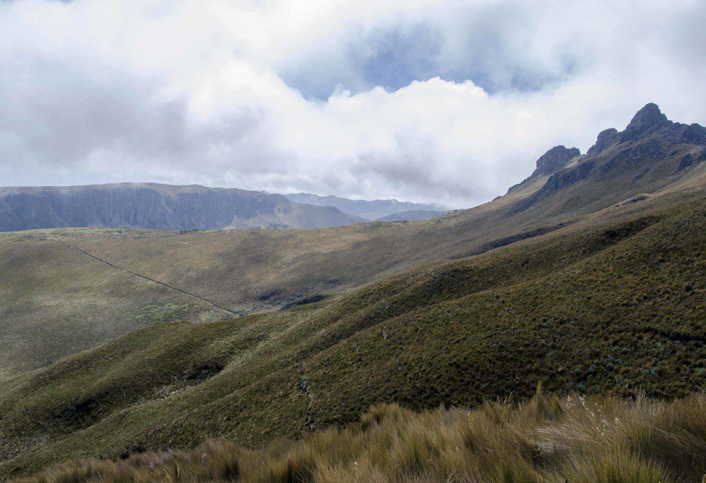 High Paramo of the Andes