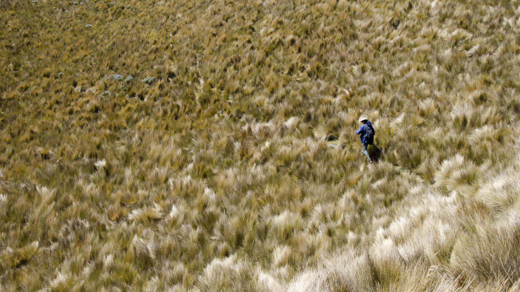 The Paramo Makes You Feel Small