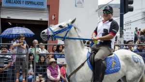 Man pulls on the reins of his rambunctious horse