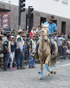 A man in blue shirt and cowboy hat leads his horse through is steps