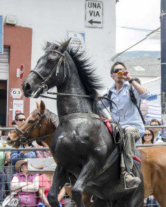 A black horse rears itself as its rider takes a swig from a drink