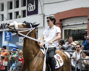 Antsy horse with young man pulling at its reins