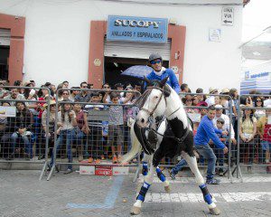 Prancing horse with boy rider