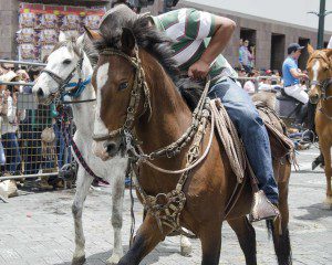 A man leans over to talk to his horse as it clearly wants to break out of its trot