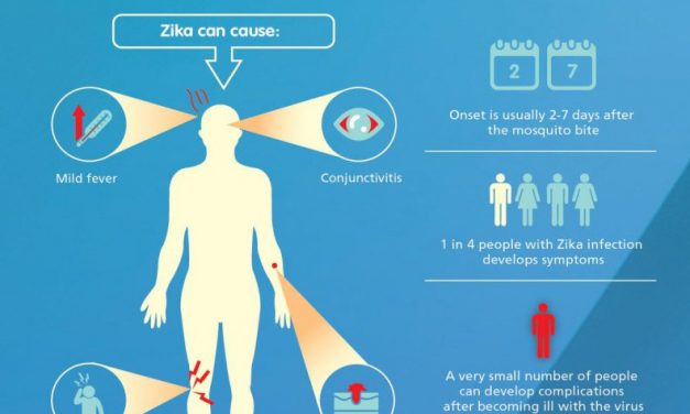 Zika (and other mosquito viruses)