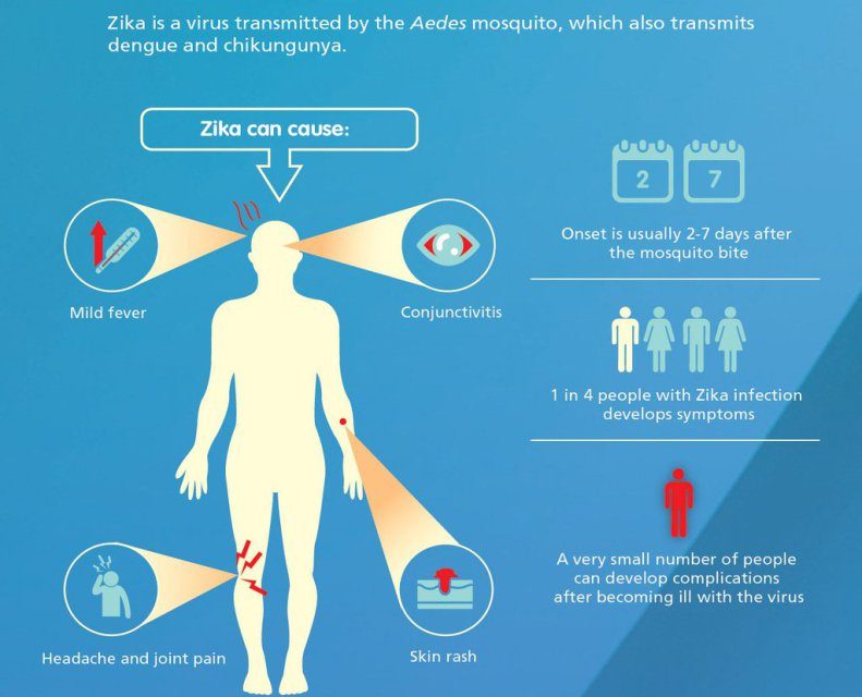 Zika (and other mosquito viruses)