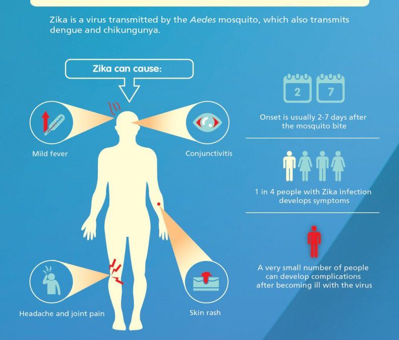 Zika (and other mosquito viruses)