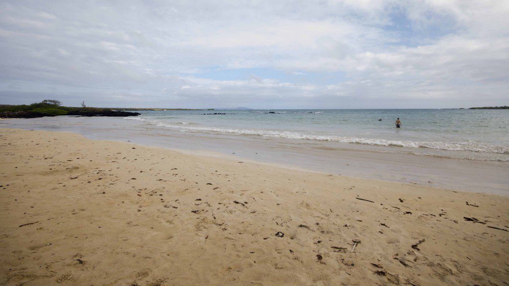 The beach at El Garrapatero