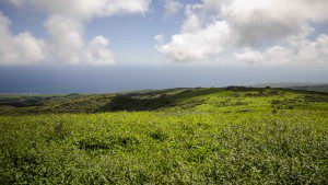 View out to Sea from El Junco