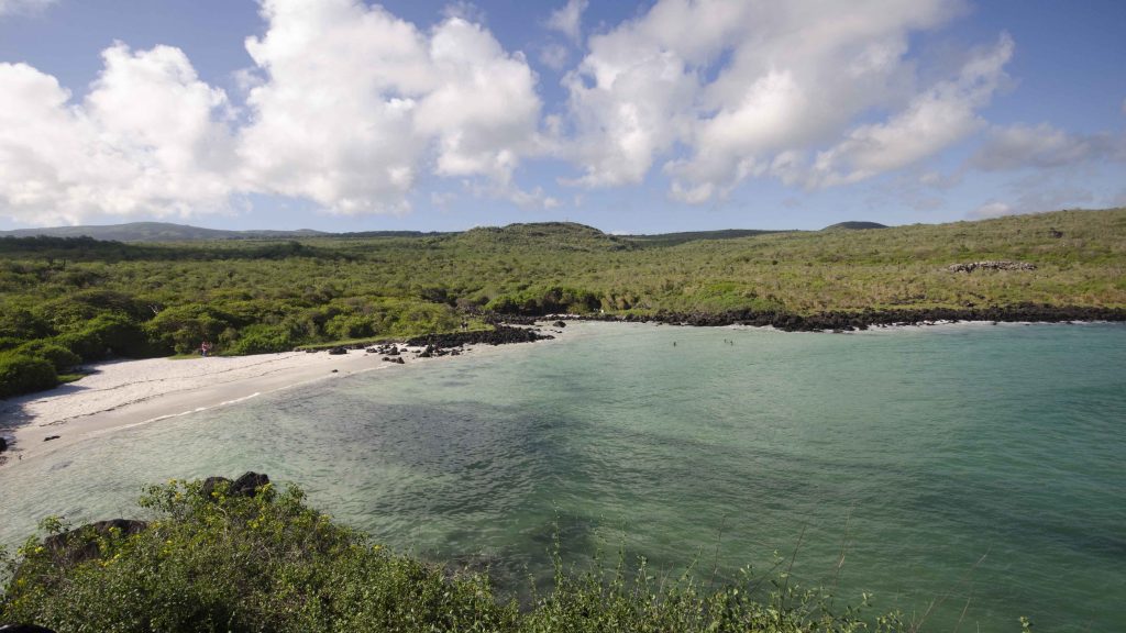 Puerto Chino, View of Cove