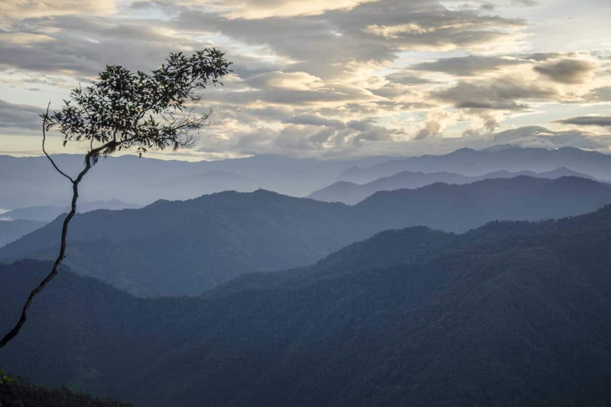 Los Andes vistos antes del amanecer desde la carretera Tandayapa - San Tadeo, Ecuador| ©Ángela Drake