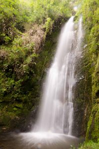 Loja Province, Nature Shots