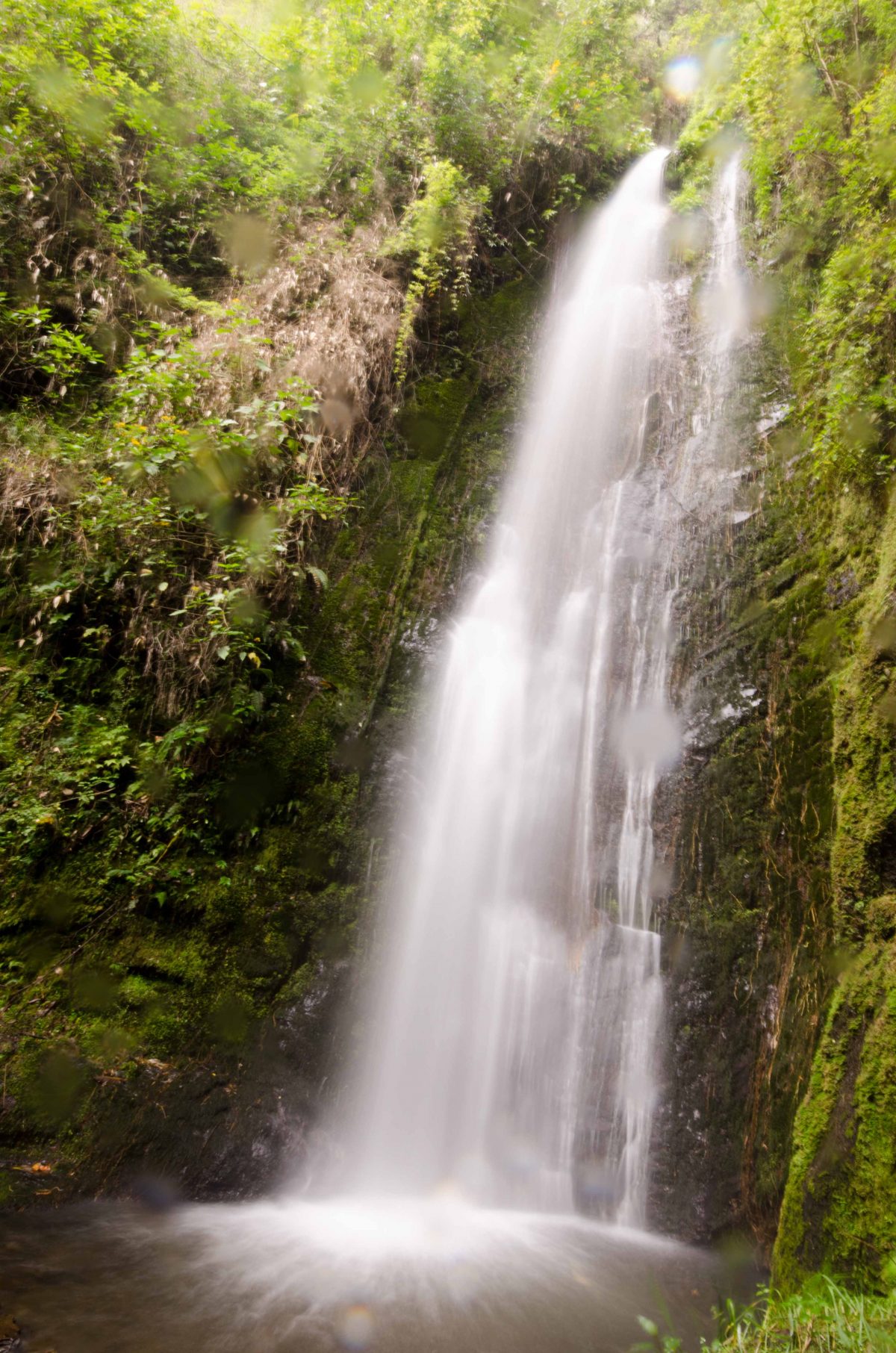 Cascada del Palto, Loja Province, Ecuador
