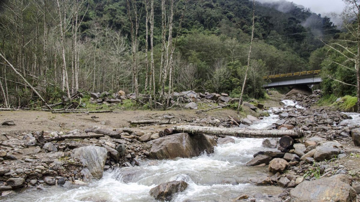 Los senderos en Guango Lodge pasan arroyos y ríos que son importantes para la diversidad de aves de la zona | ©Ángela Drake
