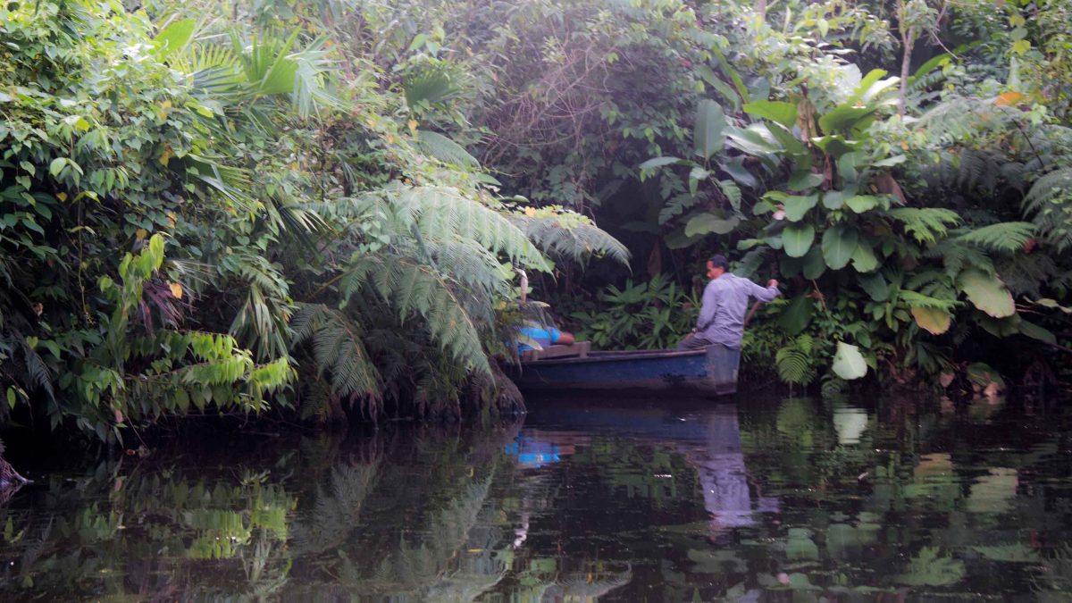 Laguna Paikawe, Centro de Vida Silvestre Misahuallí