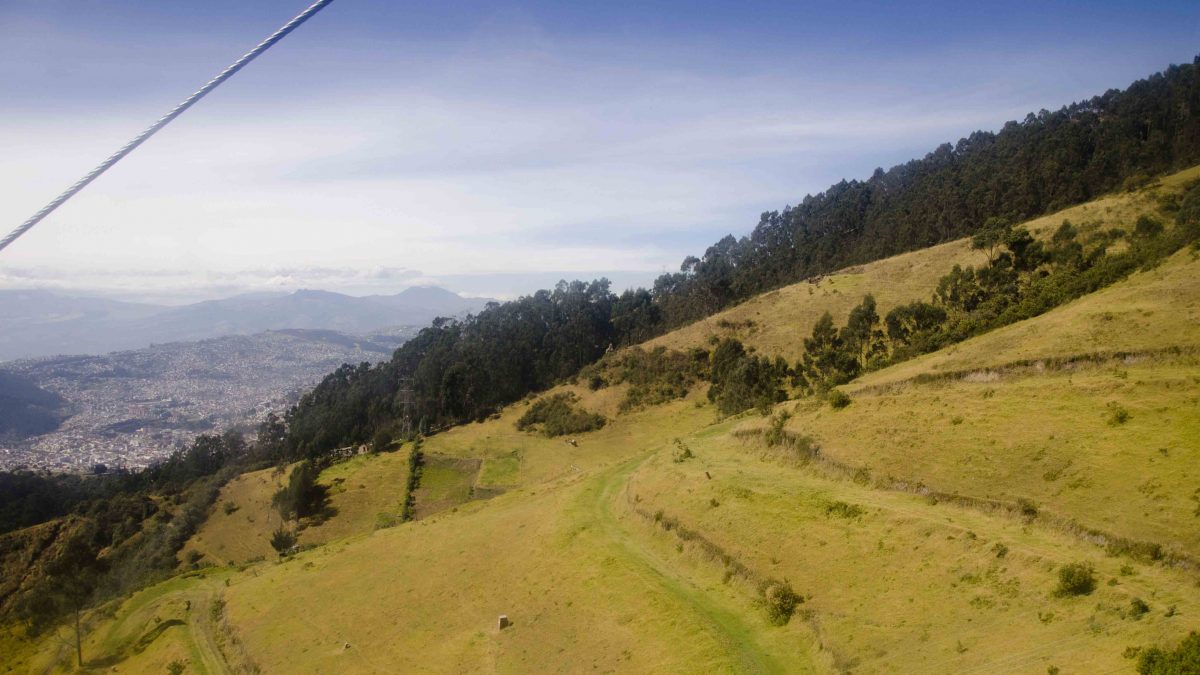 Vista del teleferico muestra un pastizal bordado con pinos