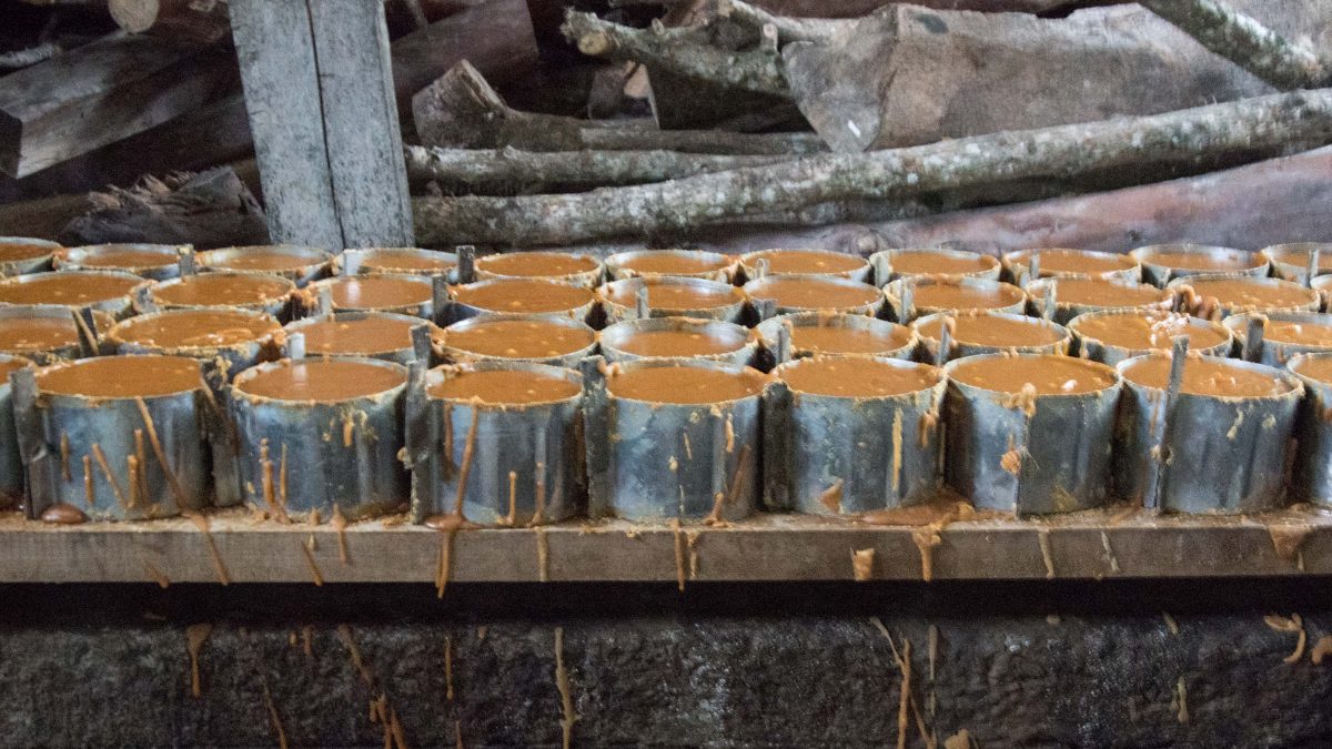 Panela in Molds; Sugar Mill, Pacto, Ecuador