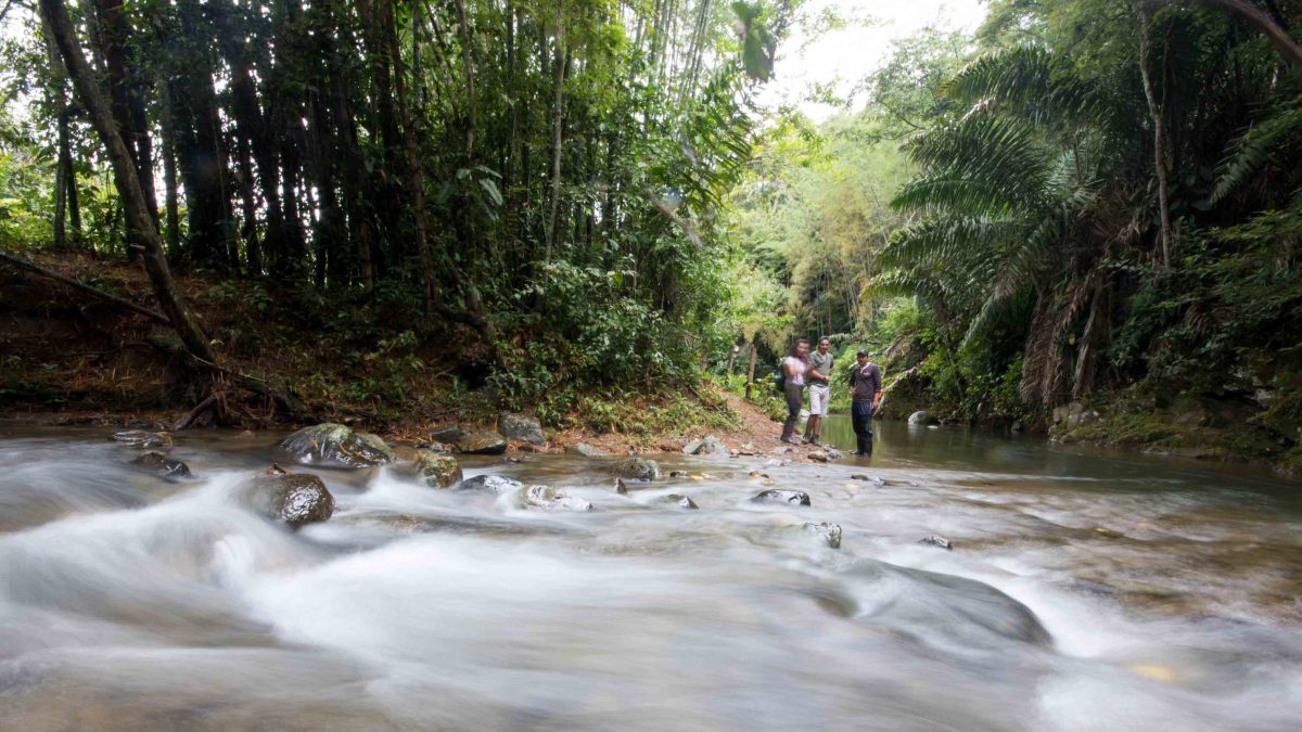 The Rio Chirapi, Pacto, Ecuador | ©Angela Drake