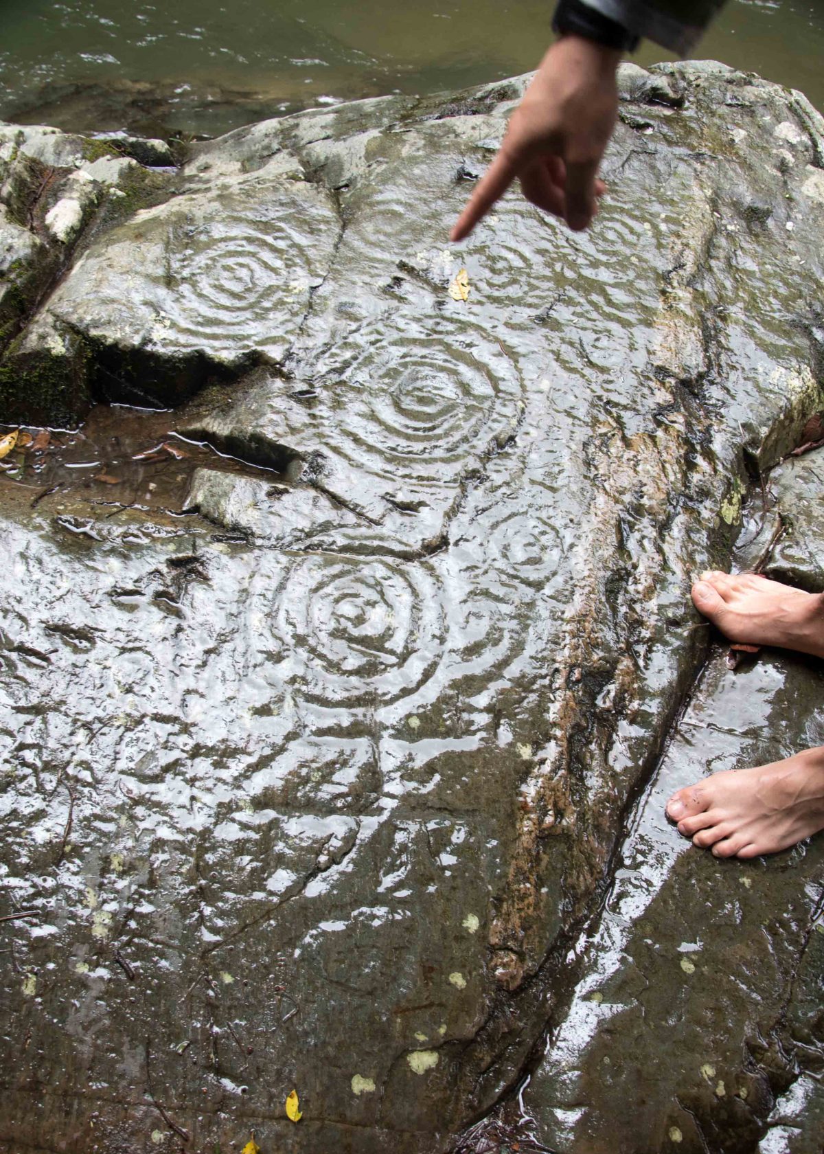 Petroglyphs along the Rio Chiripe, Pacto, Ecuador