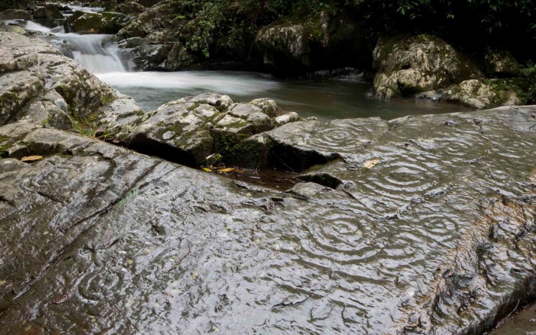 Petroglyphs along the Rio Chirapi, Pacto