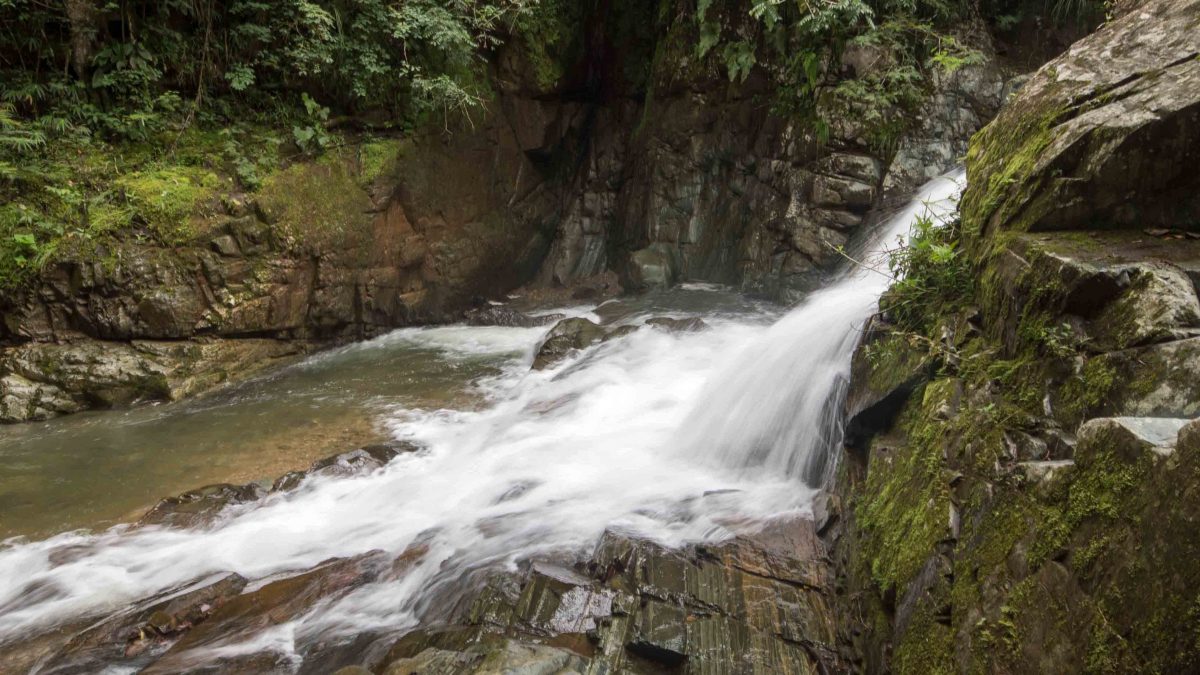 Cascada Gallo de la Peña, Pacto, Ecuador