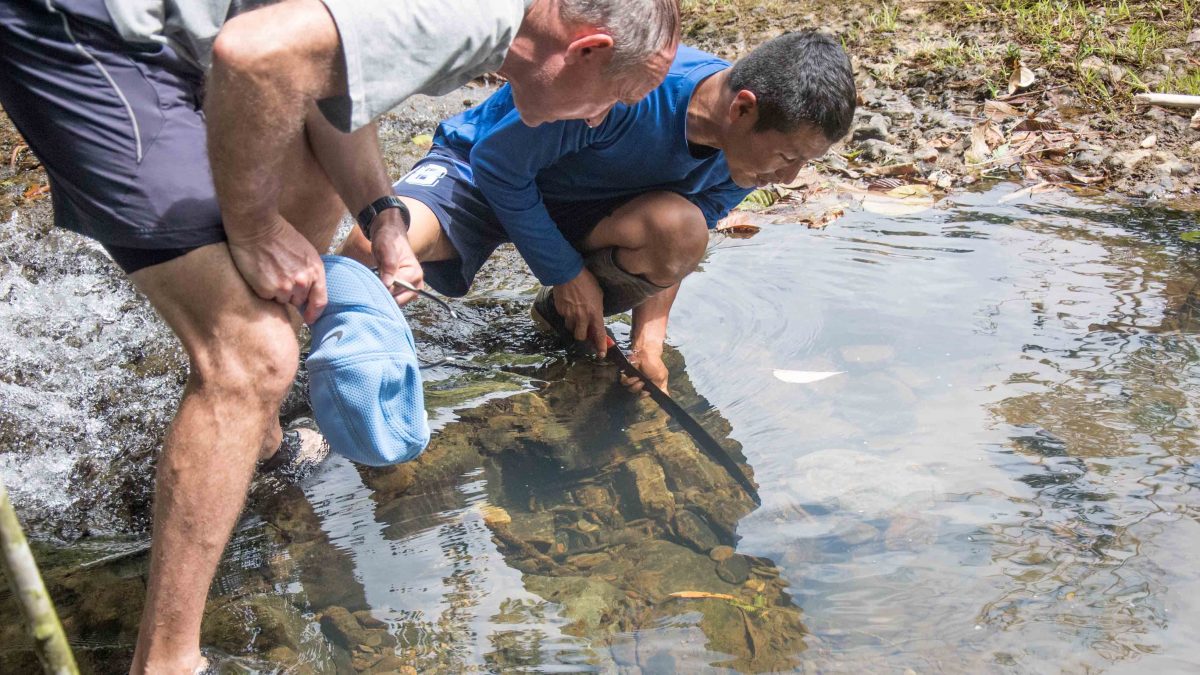 Two men look into a pond of water searching for crayfish