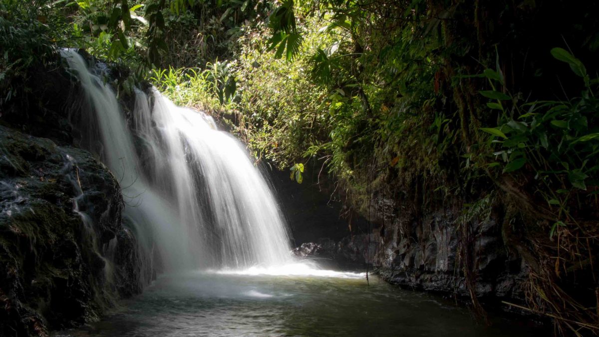 The final cascade, Cascadas Yanayacu, Napo Province, Ecuador