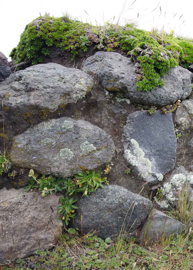 Detalle de un muro en Pucará Salitre, Parque Nacional Cotopaxi, Ecuador